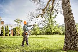 Best Tree and Shrub Care  in Folsom, PA